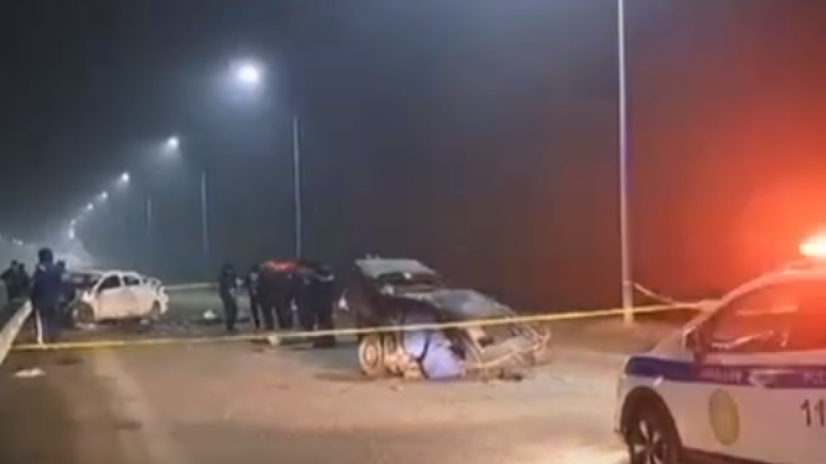  Видеодан кадр 