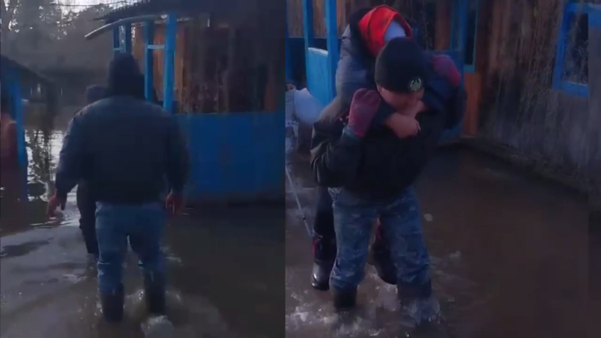  Кадр из видео 