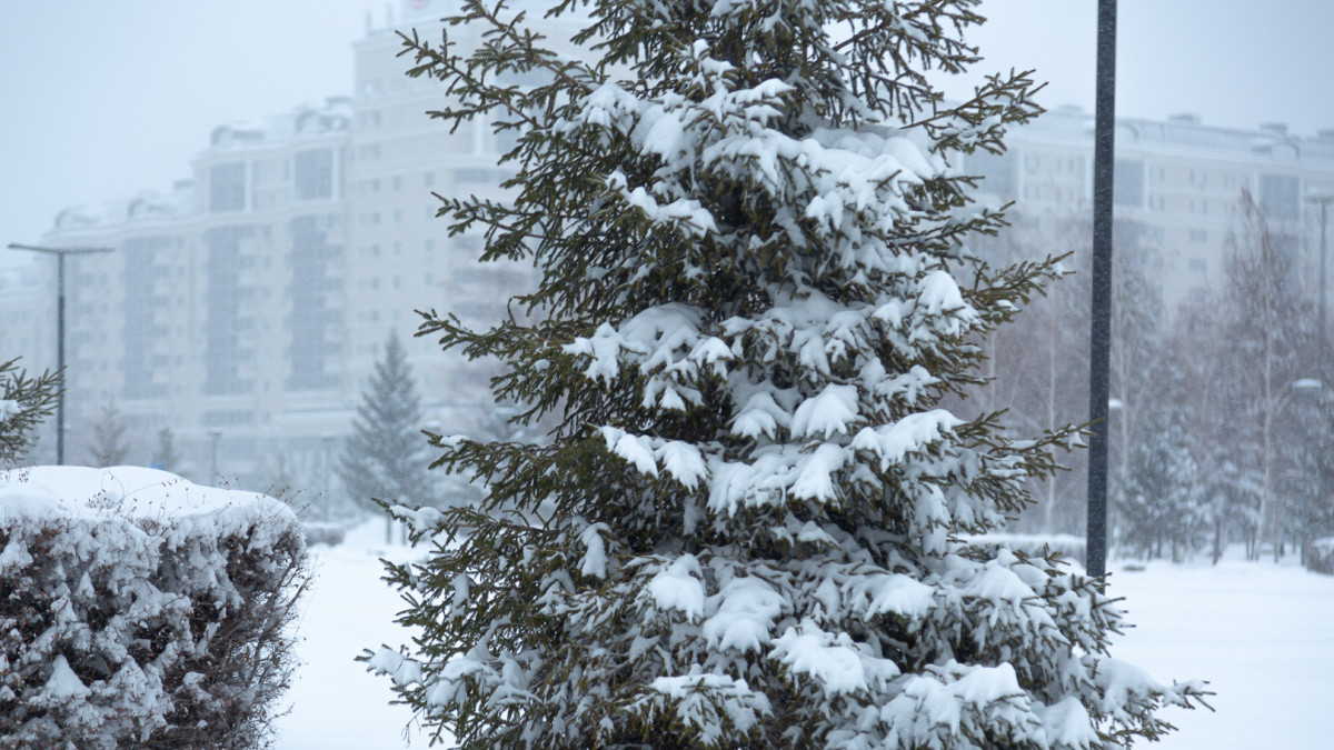  ©El.kz/Жалғасбек ТОҚТАМЫСОВ 