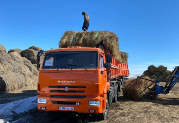 Қостанай облысының су басқан аудандарында мал азығы қамтамасыз етіледі