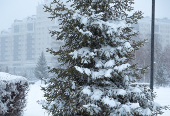 Еліміздің екі облысында қар жауатыны болжанып отыр