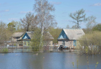 Су тасқыны кезінде тамақтан улану мен жұқпалы аурулардың алдын алу маңызды