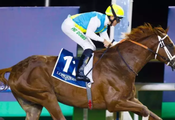 Кабирхан стал фаворитом на World cup вместе с японским жеребцом