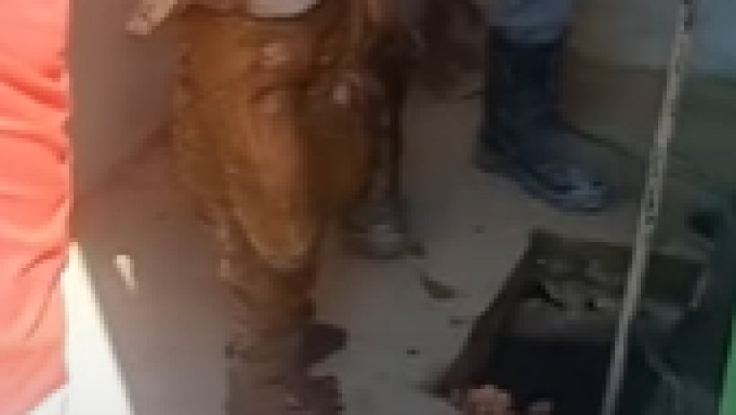  Видеодан кадр 