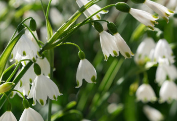 Елімізде сәуір айында ауа райы қандай болады