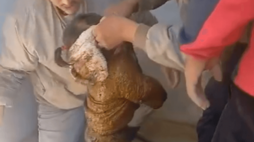  Кадр из видео 