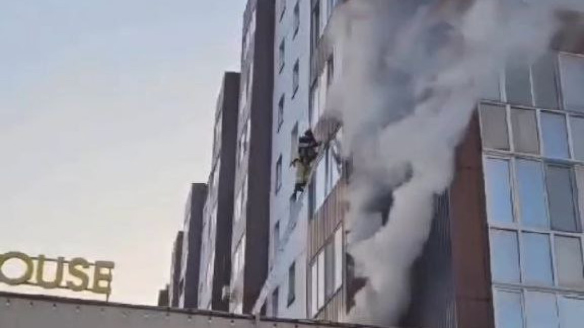  Видеодан кадр 