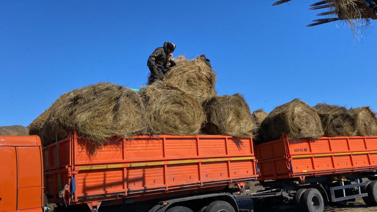  Акимат Костанайской области 