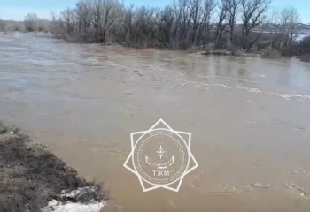 «Отказались от помощи и ждали пока их эвакуируют вместе с техникой» - с 26 марта ищут двоих пропавших в реке Борлы