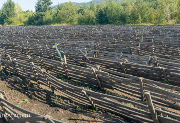 Алматы облысының көктемгі жұмыстарға дайындығы қандай