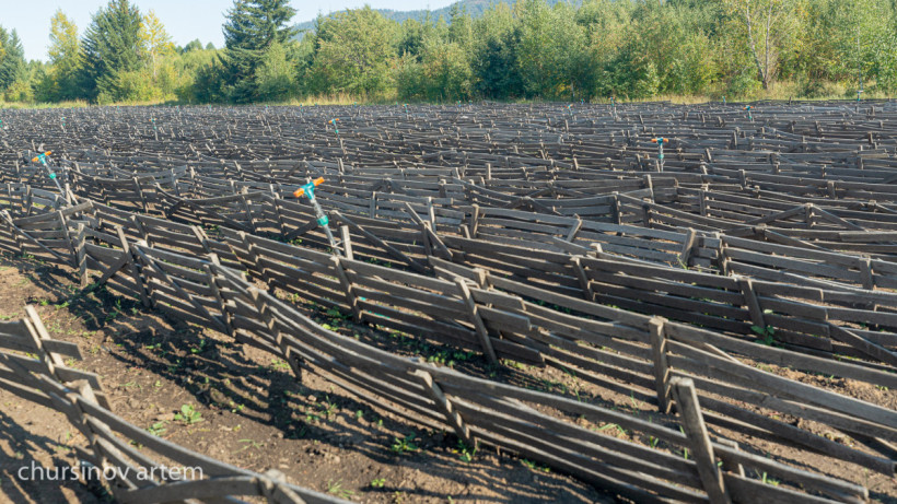  ©El.kz/Артем ЧУРСИНОВ 