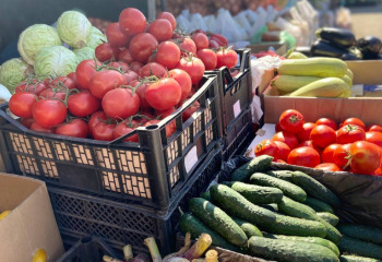 Қазақстанда базарлар саны азайып барады