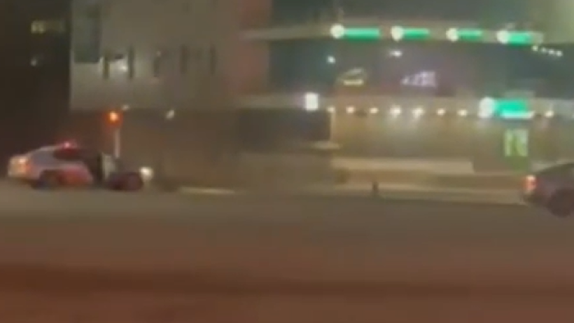  Видеодан кадр 