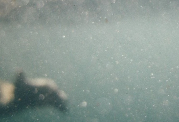 Ақтөбе облысында оқушы еріген қар суына батып көз жұмды