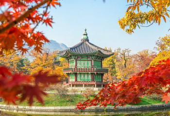 Кем работают казахстанцы в Южной Корее и сколько зарабатывают