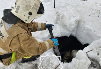 Спасатели вызволили щенка из заброшенного погреба в Риддере