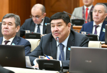 Мәжіліс «Мемлекеттік сатып алу туралы» заң жобасын мақұлдады