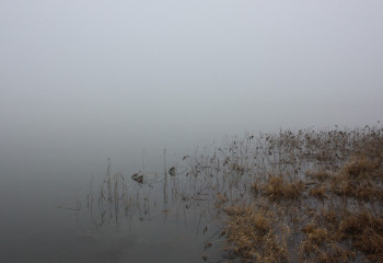 Еліміздің жеті облысында ауа райына байланысты ескерту жарияланды