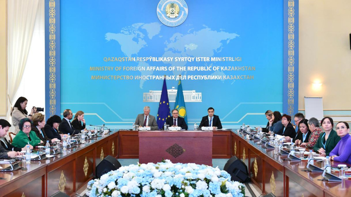 Казахстан и Совет Европы ищут совместные решения в борьбе за права женщин