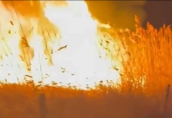 Қазақстан мен Қырғызстан шекарасында қамыс өртенді