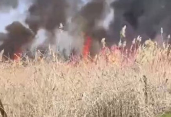 Камыш горит на границе Казахстана и Кыргызстана
