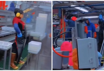 Как на заводе в Аляске заработать $10 тысяч в месяц казахстанцам