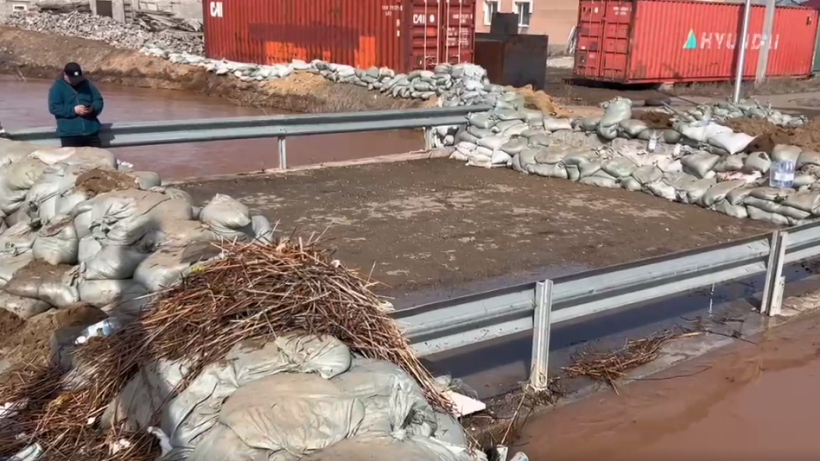  Видеодан кадр 