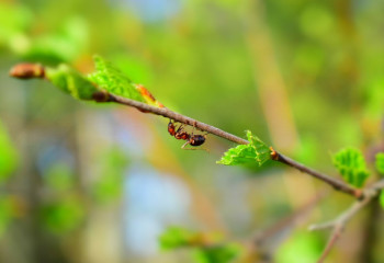 Қазақстанда демалыс күндері ауа райы қандай болады