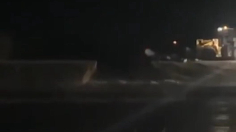  Видеодан алынған кадр 