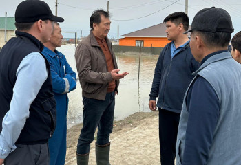 Мәжіліс депутаттары: 