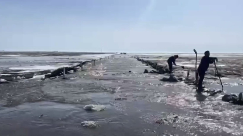  Кадр из видео 