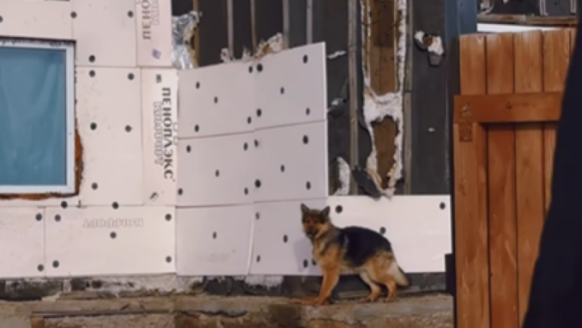  Кадр из видео 