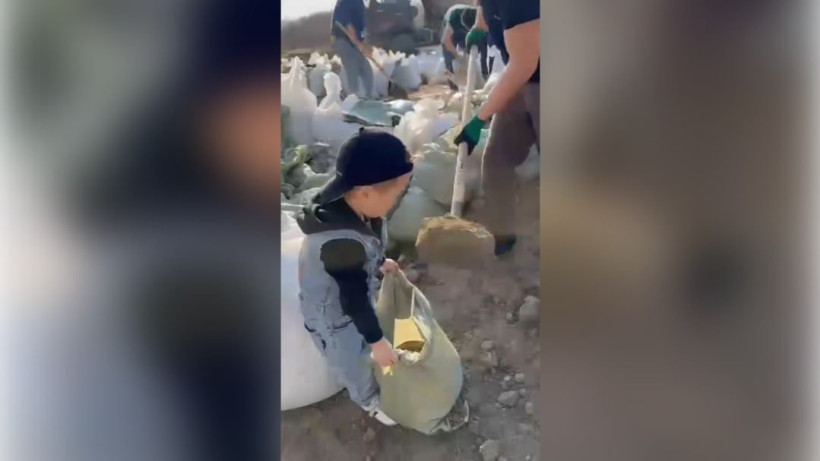  Видеодан алынған кадр 