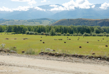 Төр Алтай туризмнің төріне айнала ма?
