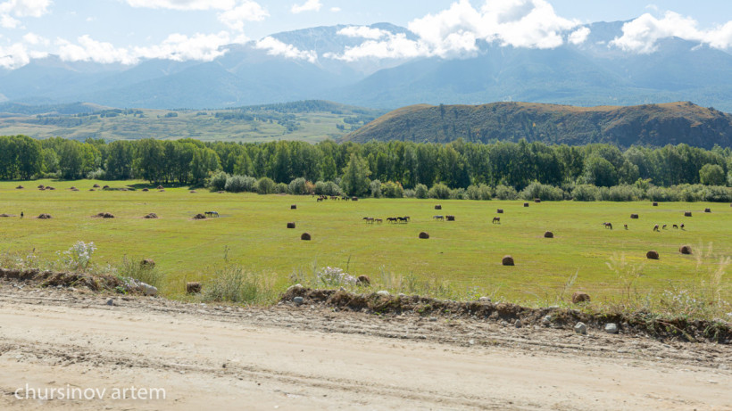  ©El.kz/Артем ЧУРСИНОВ 