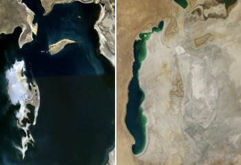 Арал теңізінің түбіне сексеуіл отырғызу қажеттігі айтылды