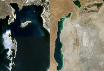 Посадка саксаула на дне Аральского моря