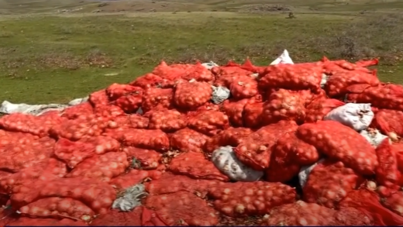  КТК/Видеодан алынған кадр 