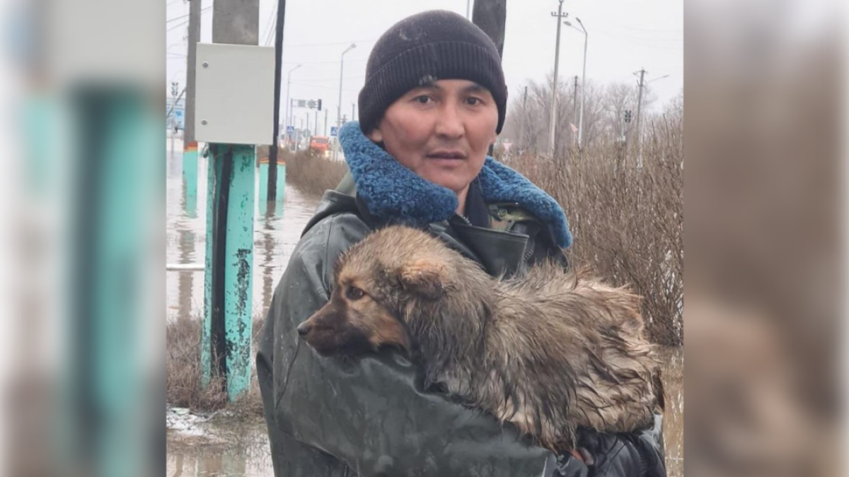 ЧСники Актюбинской области показали спасение животных
