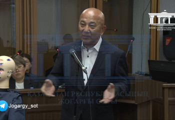 Бишімбаев Нүкенованың басын унитазға ұрған - сарапшы