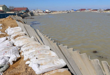 В затопленных регионах ведется контроль за скотомогильниками, свалками и септиками - Тамара Дуйсенова