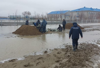 В Минздраве рассказали об эпидситуации по инфекциям в регионах