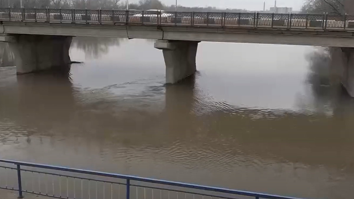  24.kz/Видеодан кадр 