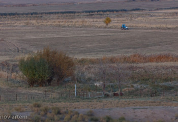 Павлодар облысында 2,1 миллиард теңгенің жері мемлекет меншігіне қайтарылды