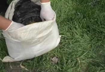 У жителя Жамбылской области изъяли гашиш на сумму 5 миллионов тенге