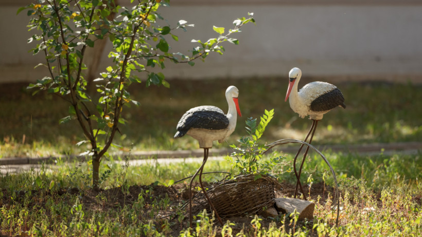  © El.kz/Артем ЧУРСИНОВ 