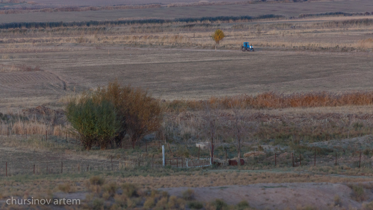  ©El.kz/Артем ЧУРСИНОВ 