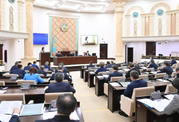 Сенат одобрил в двух чтениях поправки в закон по вопросам обеспечения прав женщин и безопасности детей