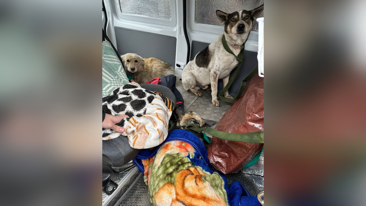  пресс-служба Центра поддержки гражданских инициатив 