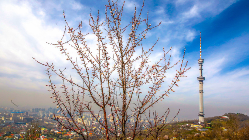  ©El.kz/Александр ПАВСКИЙ 